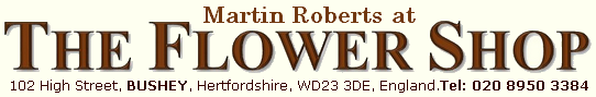 Martin Roberts at The Flower Shop, Bushey