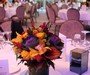Autumn arrangements in the Amber Suite, The Grove, Chandlers Cross, Herts