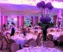 In the Pink (& Purple) Allium Corporate Event, Amber Suite, The Grove, Chandlers Cross, Herts