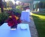 Popping out to the Garden at The Cedar Suite, The Grove, Chandlers Cross, Herts