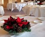 The Cinnamon Room, Christmas Arrangement of mini Pointsettas & Cones