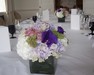 Garden Room - Pastel Hydrangeas, Roses & Vanda Orchids in Glass Cube