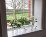 Donneraile Room - Individual vases of White Roses & Ranunculus for Window Sill