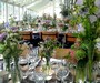 The Potting Shed - Country Flower Vases
