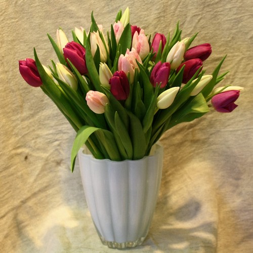 Tulip Posy in Coloured Glass Vase