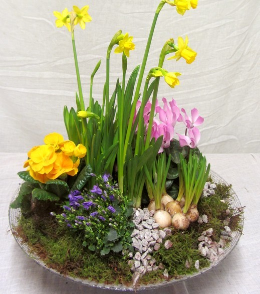 Spring Planted Bowl