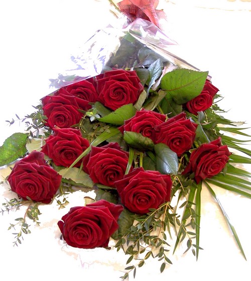 Luxury Red Naomi Roses