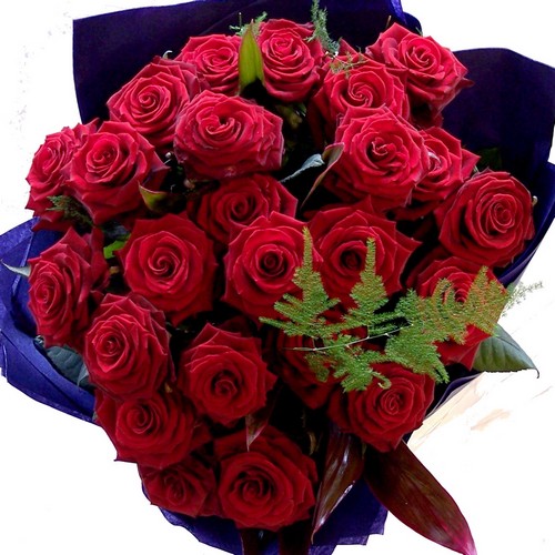 24 Luxury Red Naomi Roses in a Vase