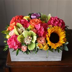 Box Arrangement