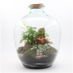 Terrarium &#39;Alan&#39;