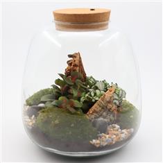 Terrarium &#39;Vicky&#39;