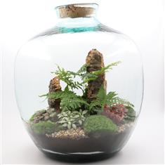 Terrarium &#39;Sam&#39;