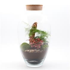 Terrarium &#39;Wilfred&#39;
