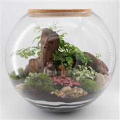 'Chirpa', Terrarium