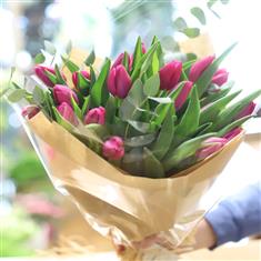 Simply Tulips WD23 only