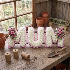 Ribbon edge Mum