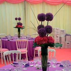 fwthumbmarquee_radlett.jpg