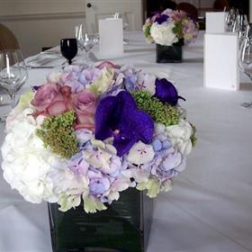 fwthumbCubes-Hydranga-Roses-Vanda.jpg