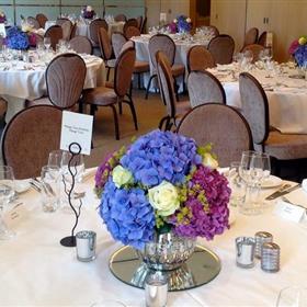 fwthumbHydrangeasRoses.jpg