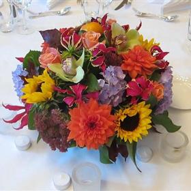 fwthumbSunflower-Gerbera-Orchid-Bowl.jpg