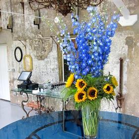 fwthumbsunflowerdelph.jpg